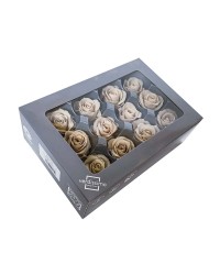 ROSA STABILIZZATA MEDIA CHERRY BLOSSOM - CF 12
