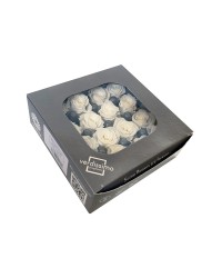 ROSA STABILIZZATA MINI BIANCA - CF 16