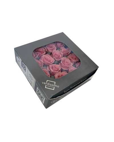 Rosa Stabilizzata Mini – Confezione da 16 Rose Naturali CF 16