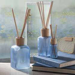 Profumatore 100ml blue avio prof into the woods