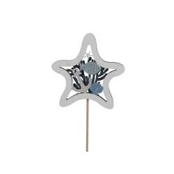 Cf 6pz pick deco stella mare in legno cm 8 ass