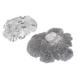 Cf 500 gr sponge di funghi cm 18-25 silver