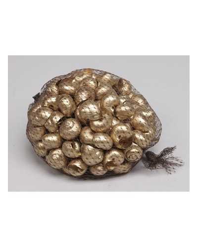 Dettaglio conchiglie oro per decorazioni e composizioni artistiche