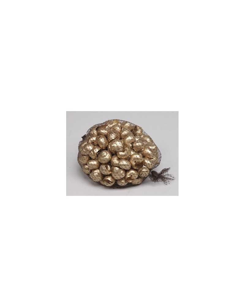 Dettaglio conchiglie oro per decorazioni e composizioni artistiche