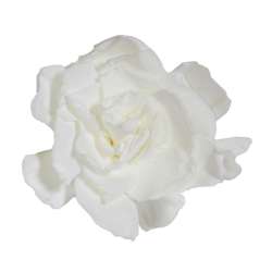 Cf 3 pz  gardenia stabilizzata bianca