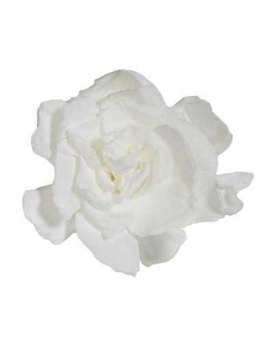 fiore stabilizzato bianco naturale