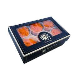 Cf 6pz rose stabilizzate dm 6-6.5 h 5-7 arancio