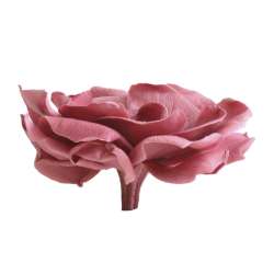 Cf 3 pz  gardenia stabilizzata rosa antico