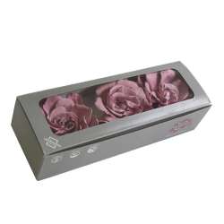 Cf 3 pz  gardenia stabilizzata rosa antico