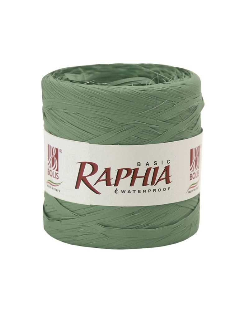 Nastri e Cordini | BOBINA RAPHIA BASIC - 200 MT - VERDE SALVIA | 8001565572034