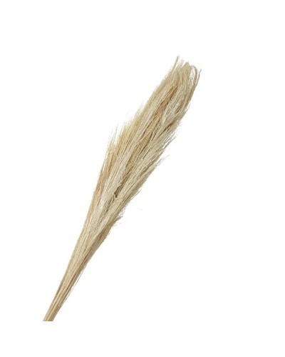 BROOM GRASS - SBIANCATO -...