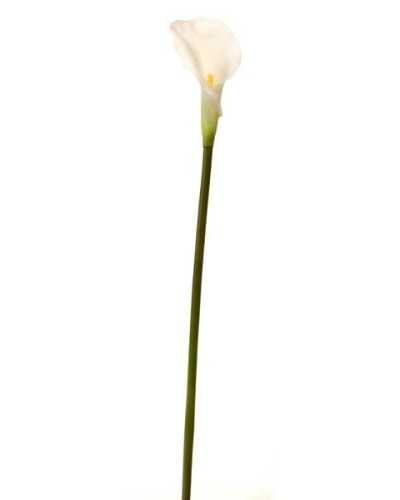 Fiori Artificiali | ramo calla cm 55 rosa | 8051090156124