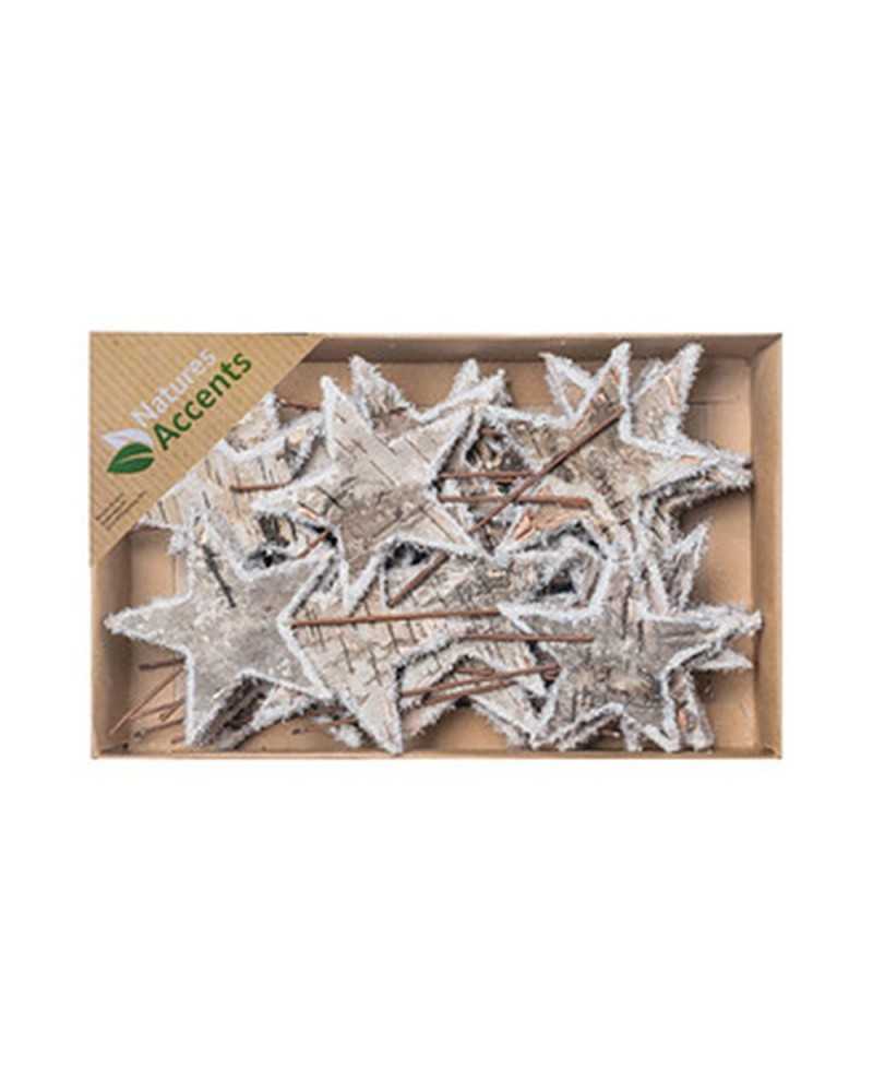 Pick | Cf 30pz stelle corteccia betulla con ferretto cm 8 innevate | 8718658692820