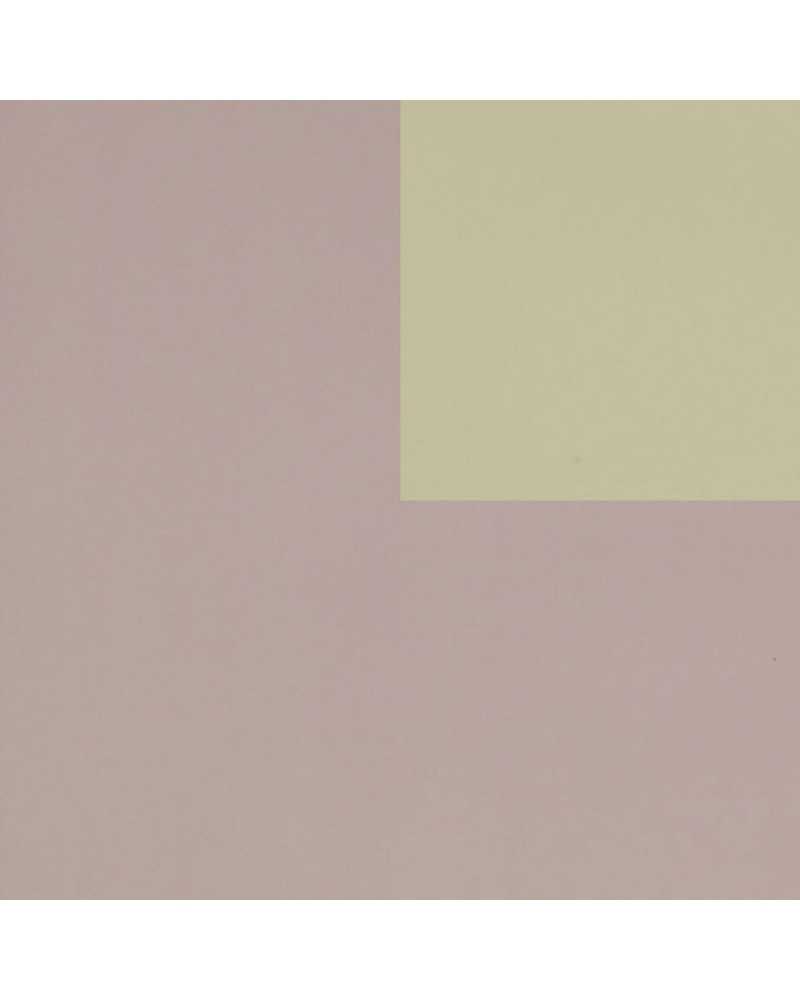 Carte Decorative | Bobina polipack bicolor cm100 x40 mt rosa antico sage | 8004839093358