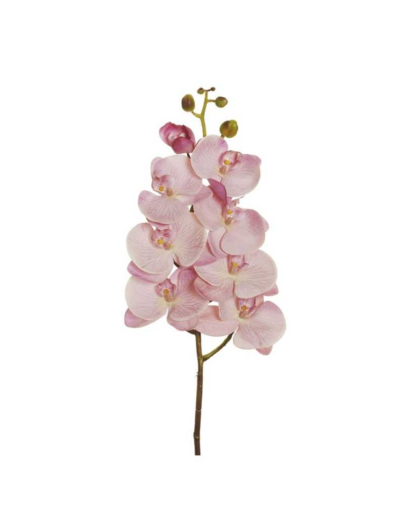 Fiori Artificiali | Ramo Phalenopsis real touch cm 100 light mauve | 8025003349170