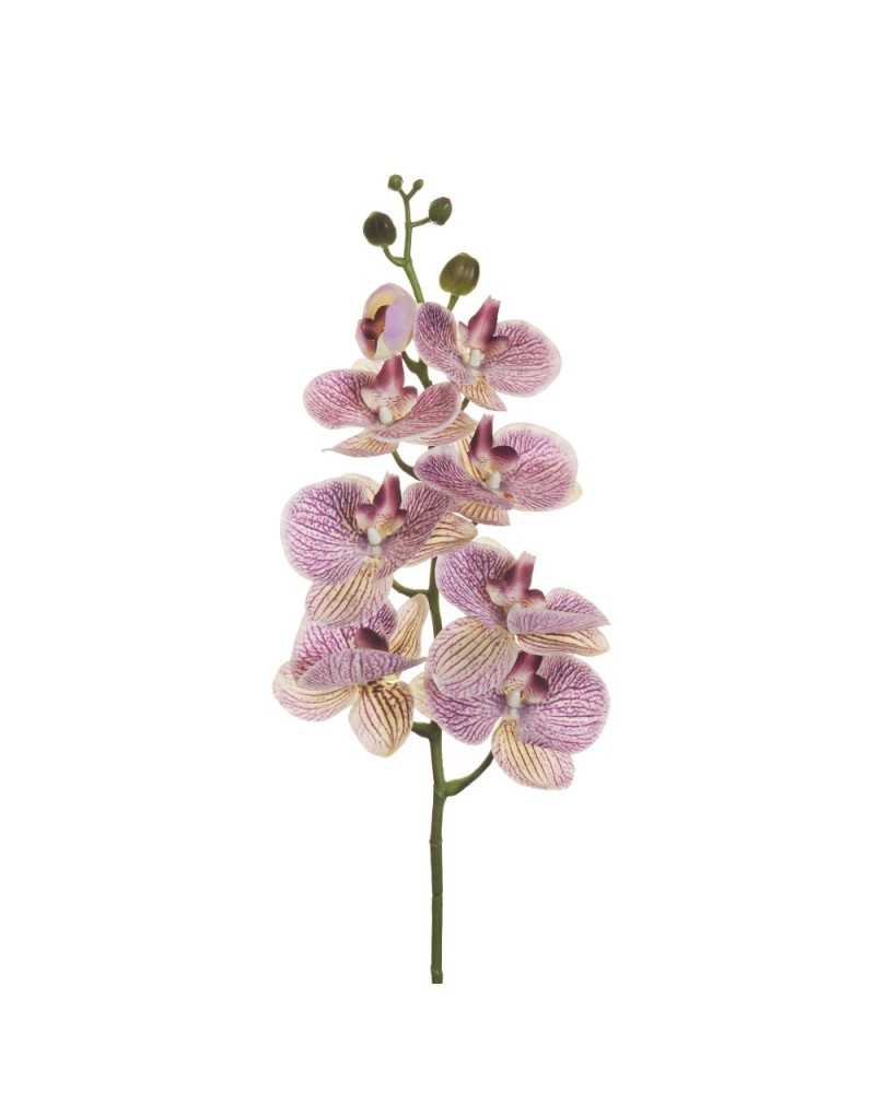 Fiori Artificiali | Ramo Phalenopsis Real Touch - 100 cm - Colore Lilla e Crema | 8025003435385