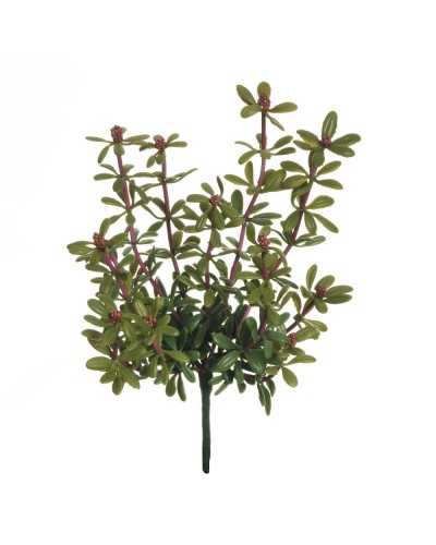 Piante Artificiali | Pianta peperomia cm 25 green fucsia | 8025003441836