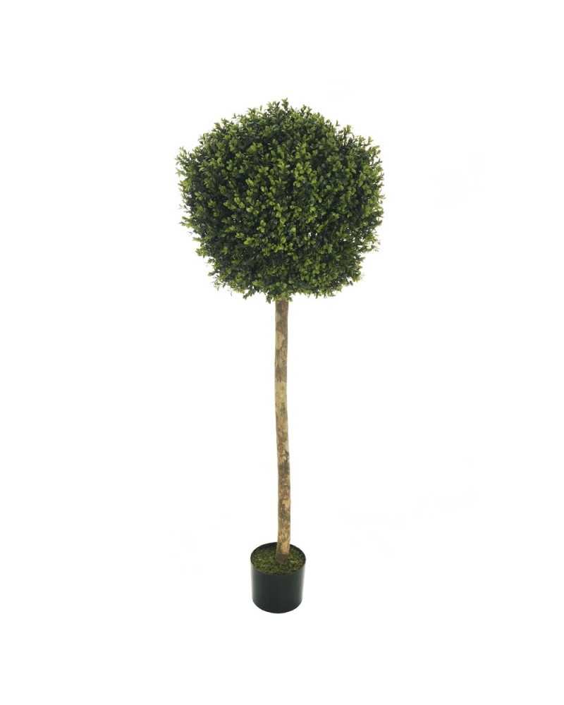 Piante Artificiali | Pianta a palla di boxwood con tronco in vaso h 150 verde | 3017003446077