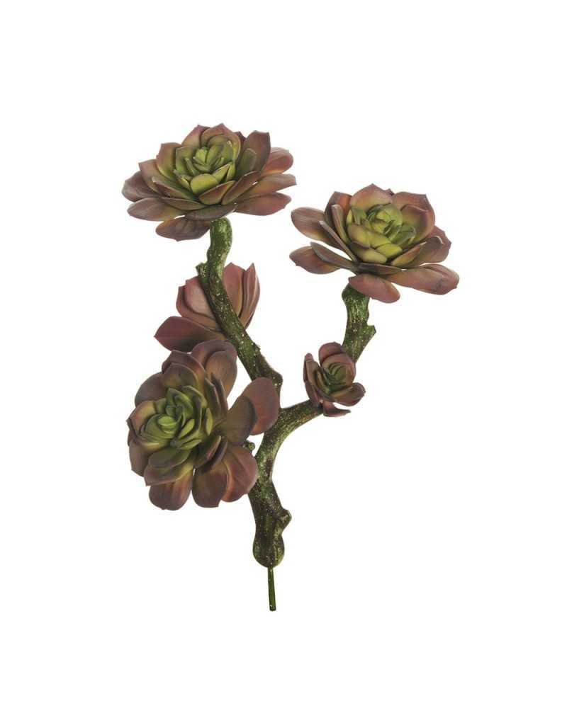 Piante Artificiali | Pianta aeonium x3 dm 10 h 30 mauve green | 8025003450562