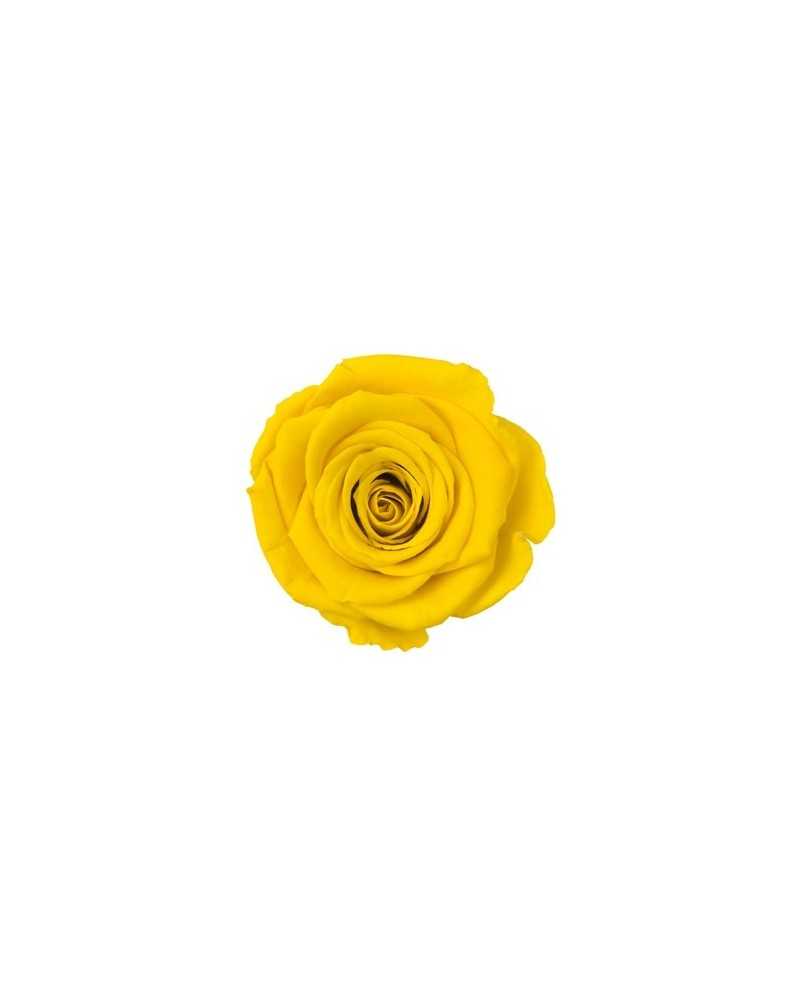 Fiori Stabilizzati | Cf 4 rose stabilizzate dm 8.5 H 6.5 giallo | 