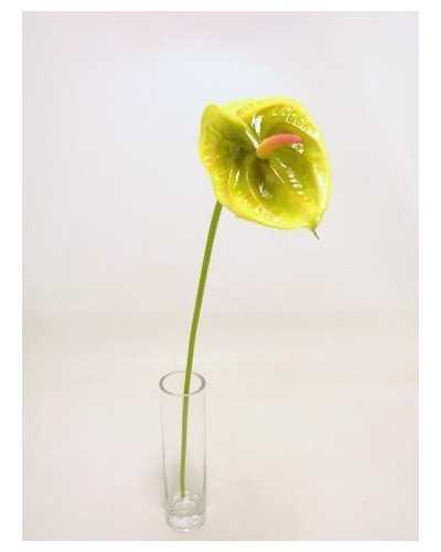 Fiori Artificiali | Ramo anthurium piccolo h 57 verde | 8051090328019