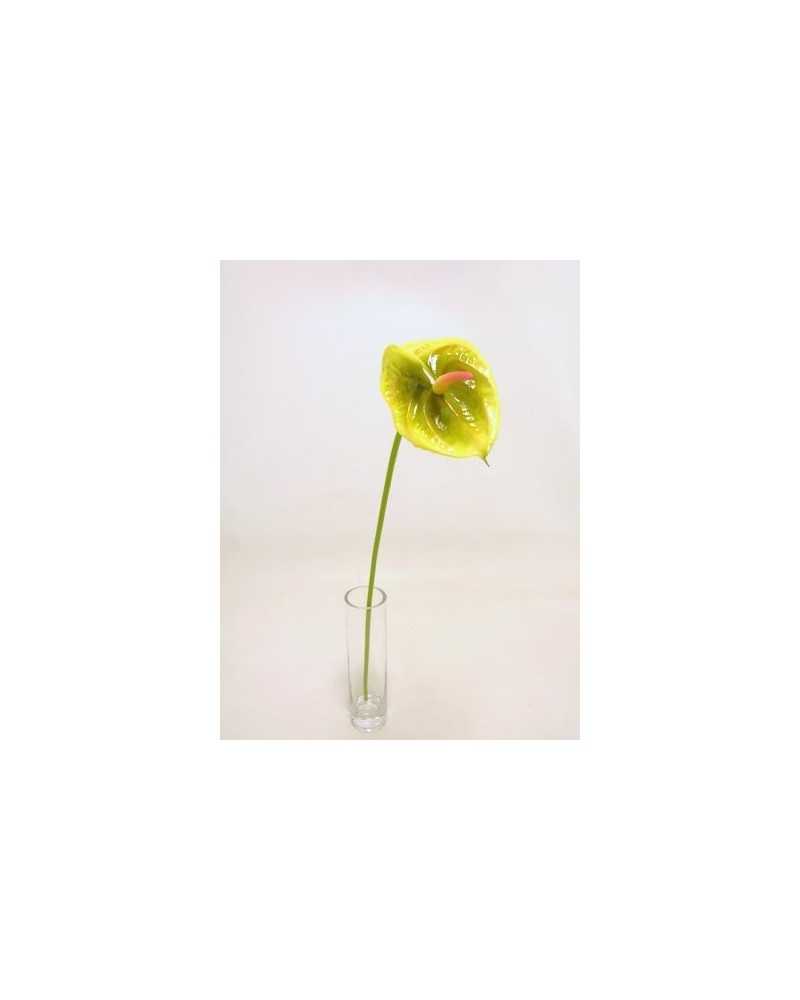 Fiori Artificiali | Ramo anthurium piccolo h 57 verde | 8051090328019