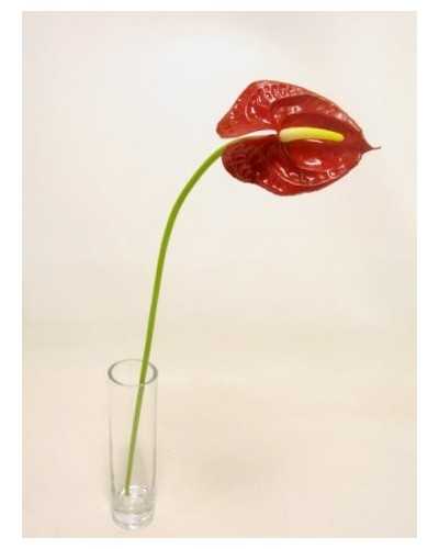 Fiori Artificiali | Ramo anthurium piccolo h 57 rosso | 8051090328033