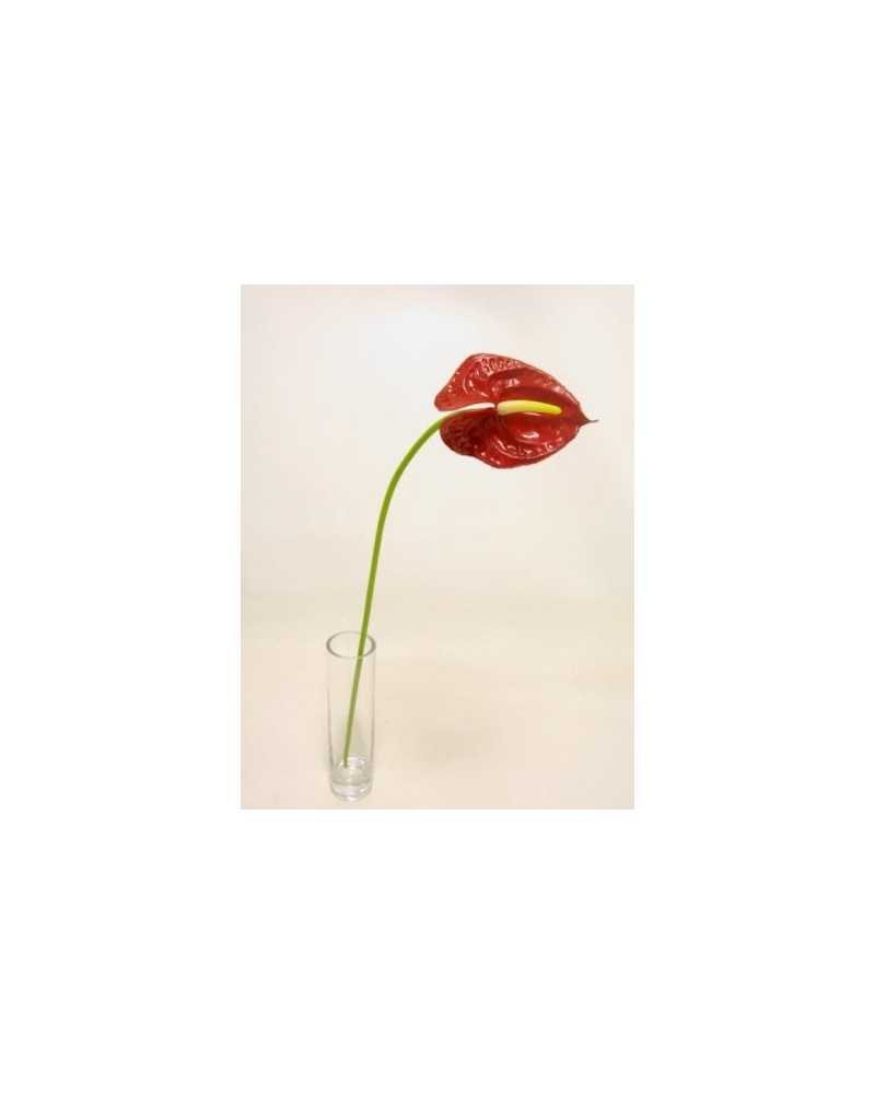 Fiori Artificiali | Ramo anthurium piccolo h 57 rosso | 8051090328033