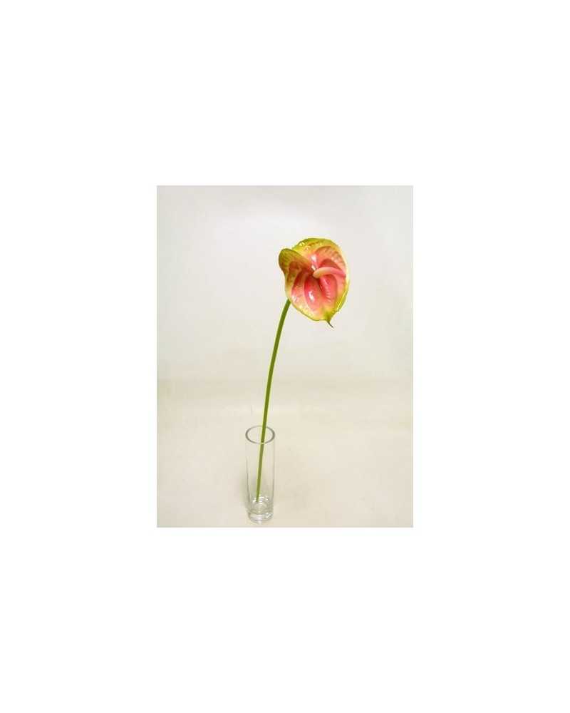 Fiori Artificiali | Ramo anthurium piccolo h 57 verde | 8051090328040