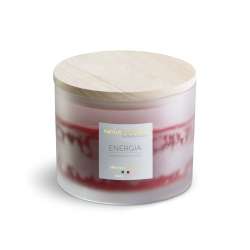 Candela vegetale  profumate 380 gr amati more e muschio