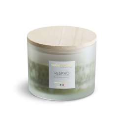 Candela vegetale  profumate 380 gr amati more e muschio
