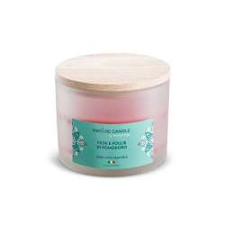 Candela vegetale 380 gr principessa neroli line mediterranea