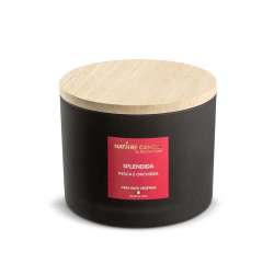 Candela vegetale 380 gr  leie birichina pompelmo rosa gelsomino