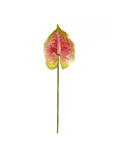 Rami e Foglie Artificiali | Ramo anthurium h72 green pink | 8051090272978