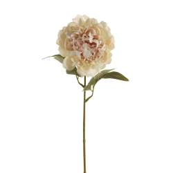 Ramo peonia flemish autun spray cream