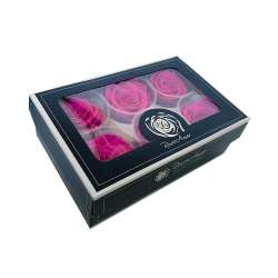 Cf 6pz rose stabilizzate dm 6-6.5 h 5-7  fucsia
