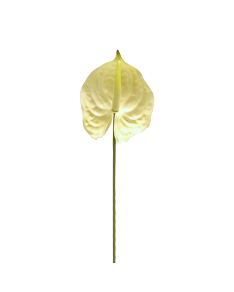 Fiori Artificiali | Ramo di Anthurium Decorativo – 72 cm, Bianco | 8051090272954