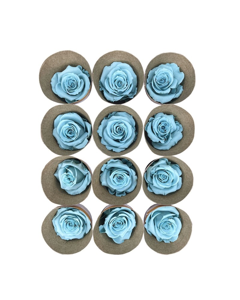 Fiori Stabilizzati | Cf 12 rose stabilizzate dm 4-4.5 h 4 celesti | 7861221221826
