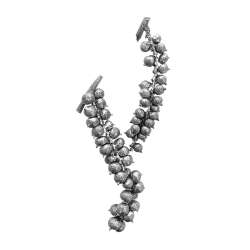 Cf 200 gr fiori di cannella cm 5-7 argento