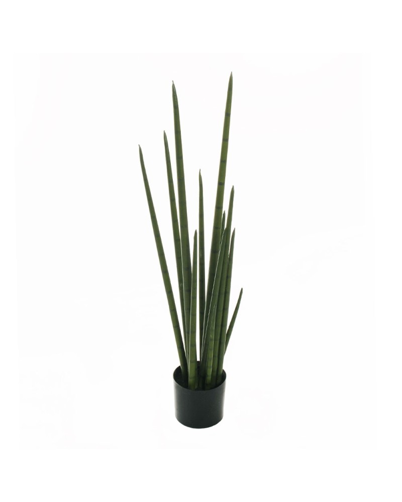 Piante Artificiali | Pianta sanseveria cilindrica x13 h 97 verde | 8025003446343