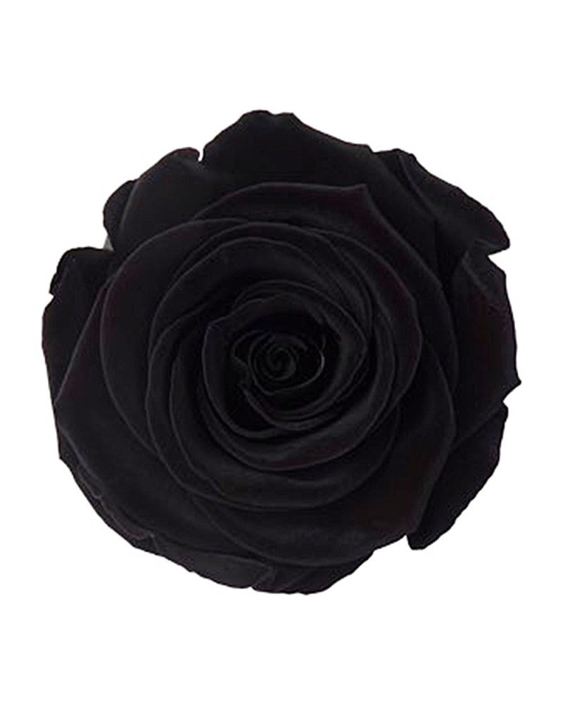 Fiori Stabilizzati | Cf 6pz rose stabilizzate dm 6-6.5 h 5-7 nera | 7861221219953