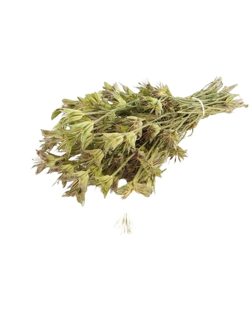 Piante Artificiali | Bunch Nigella Orientalis | 4027234904566