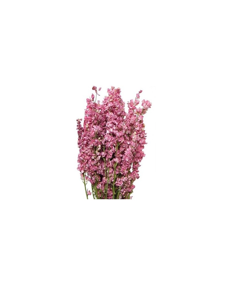 Fiori Artificiali | Mazzo delphinium natural pink | 4027234904573