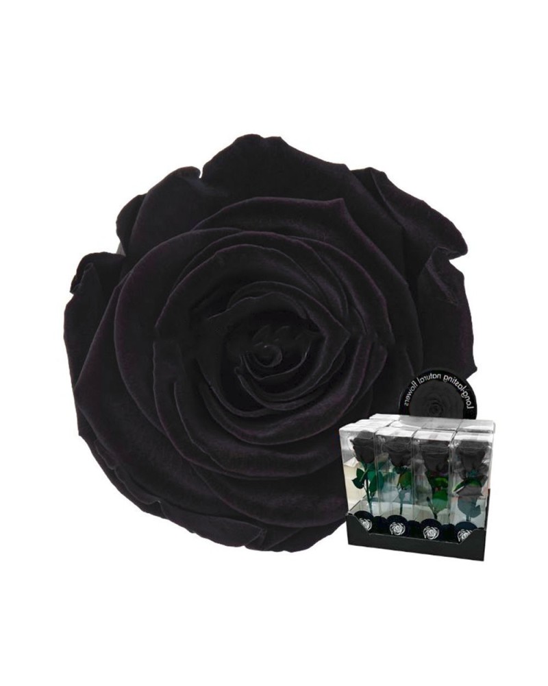 Fiori Stabilizzati | Ramo rosa stabilizzata dm 7 h 32 nera (4) | 7861206218414