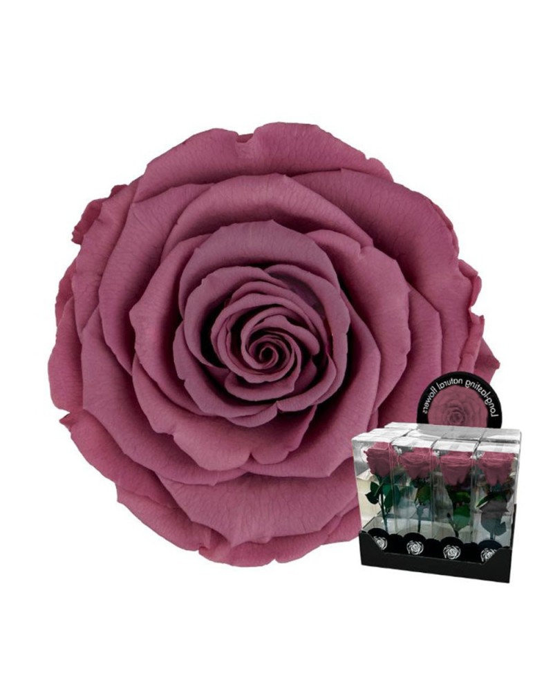Fiori Stabilizzati | Ramo rosa stabilizzata dm 7 h 32 rosa antico (4) | 7861206218735
