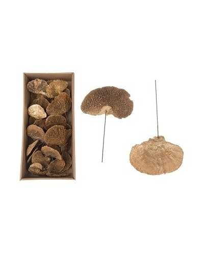 Decorazioni | Cf 40pz spore di funghi con ferretto gold-wash | 