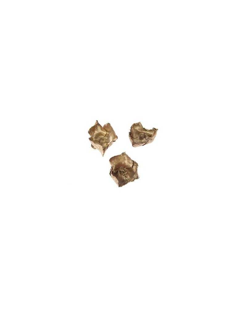 Applicazioni | Cf 10 pz fiori di palma gold-wash | 