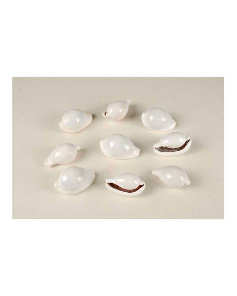 Decorazioni Mare | Cf 10pz conchiglie cm 7 ovum bianche | 