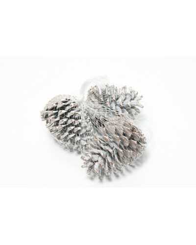 Decorazioni | Cf 15pz pigne frosted cm 10-12 white | 