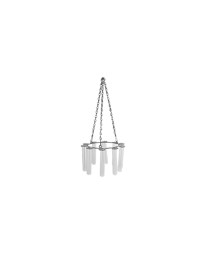 Decor Vasi & Coprivasi | Portafiori in ferro con 10 provette di vetro trasparente dm25 h 15 | 